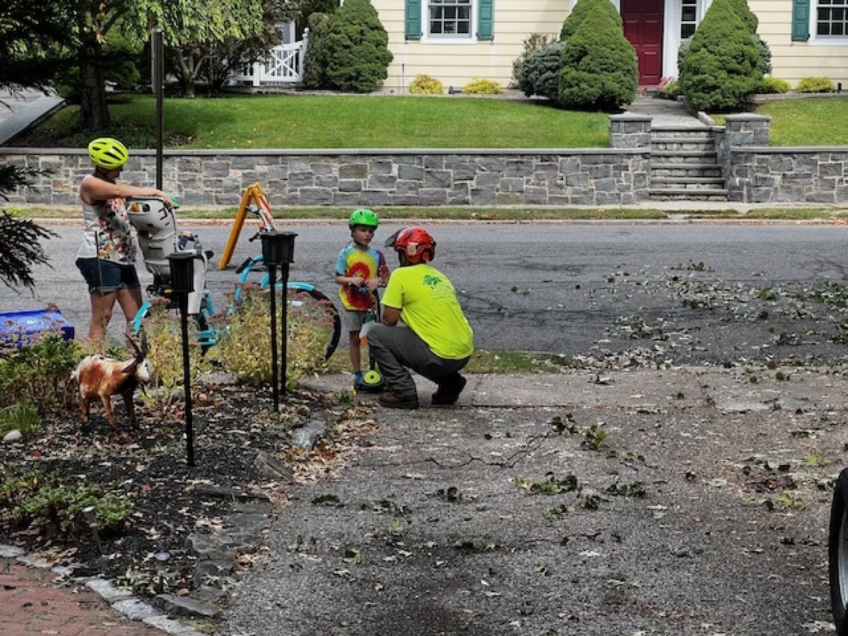 Neighborhood Cleanup - Armonk, NY