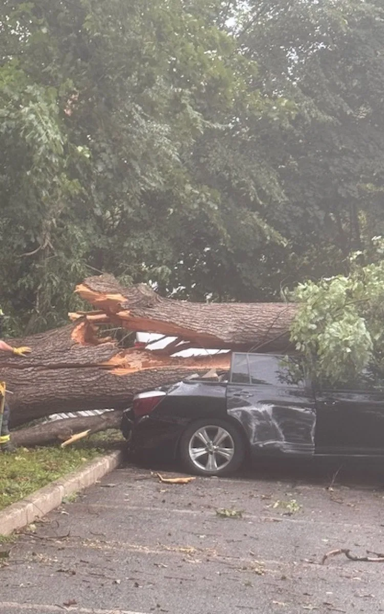Emergency tree removal after storm in Peekskill NY area